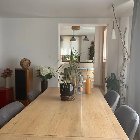 Les Hirondelles וינצנהיים