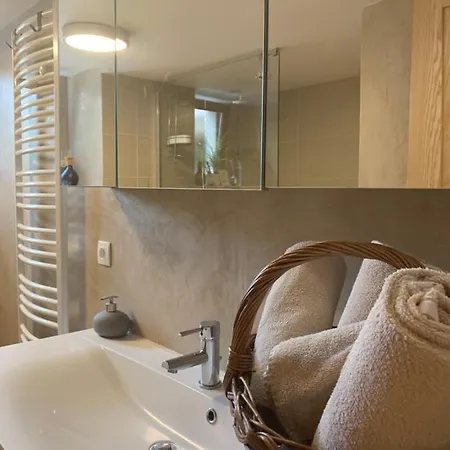 Les Hirondelles דירה