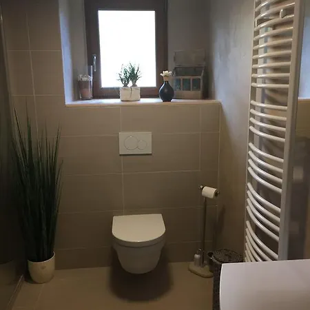 Les Hirondelles וינצנהיים