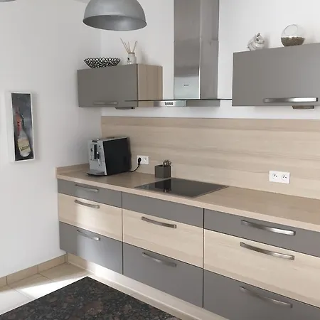 Les Hirondelles דירה וינצנהיים